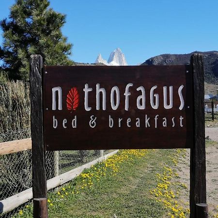 Nothofagus Bed & Breakfast エル・チャルテン エクステリア 写真