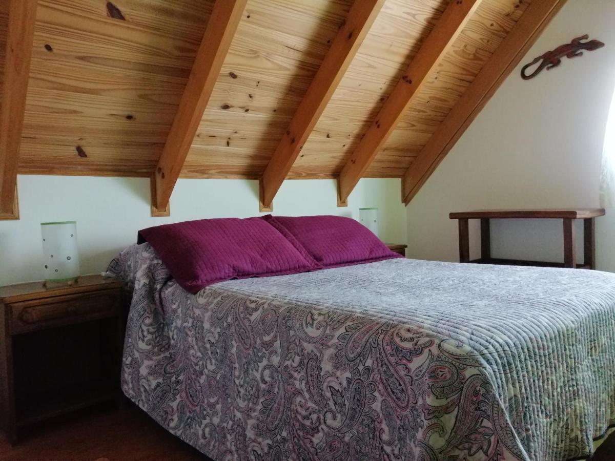 Nothofagus Bed & Breakfast エル・チャルテン エクステリア 写真