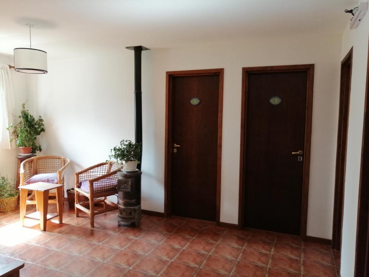Nothofagus Bed & Breakfast エル・チャルテン エクステリア 写真